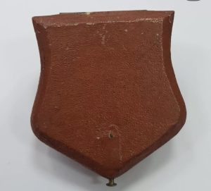 Викториански златни обеци с перли и редки камеи .