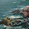 Море
